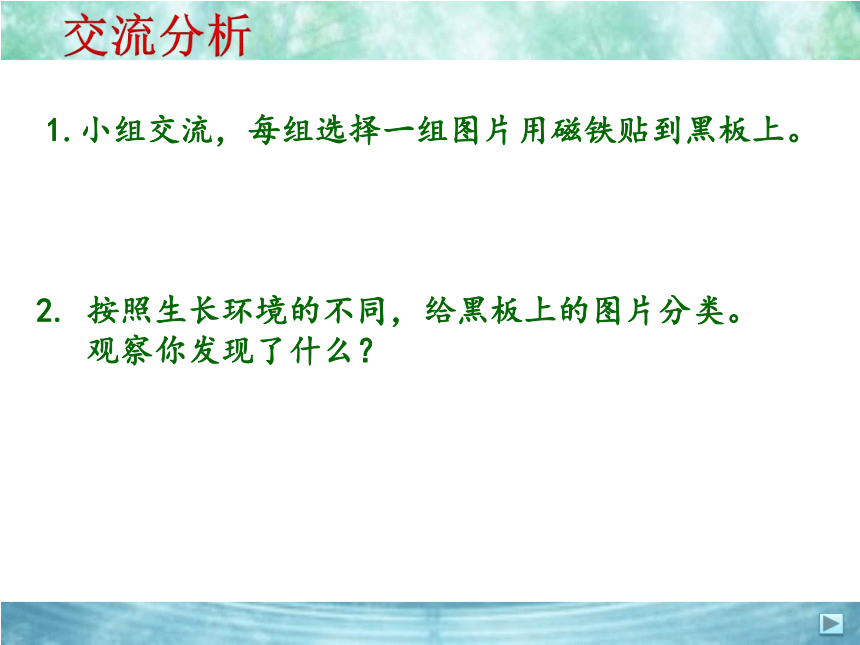 青岛版（五四制2017秋）二年级上册科学3.11 植物和水（课件共10张PPT）