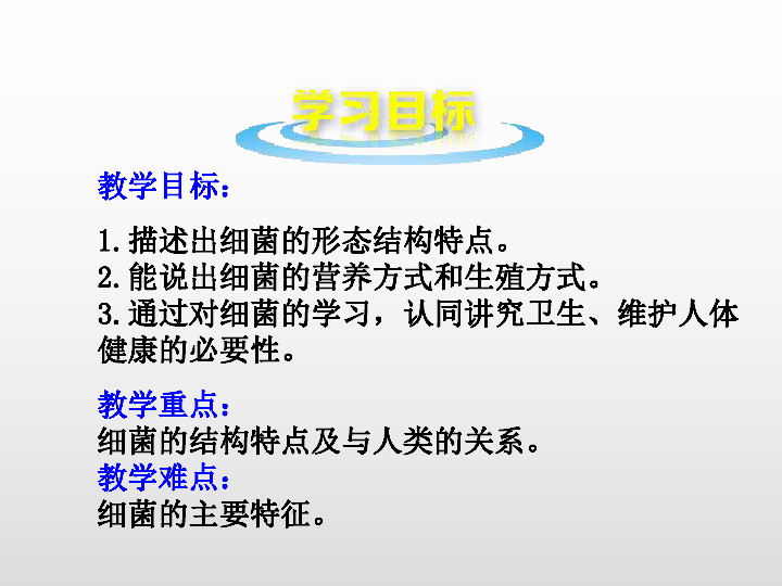 济南版七年生物上册课件：第二单元 第三章 第二节 细菌课件（(共19张PPT)）