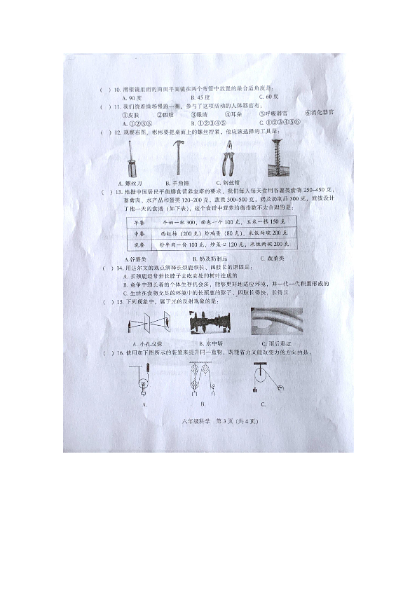 广东省江门市新会县2019-2020学年第一学期六年级科学期末试题（图片版，无答案）