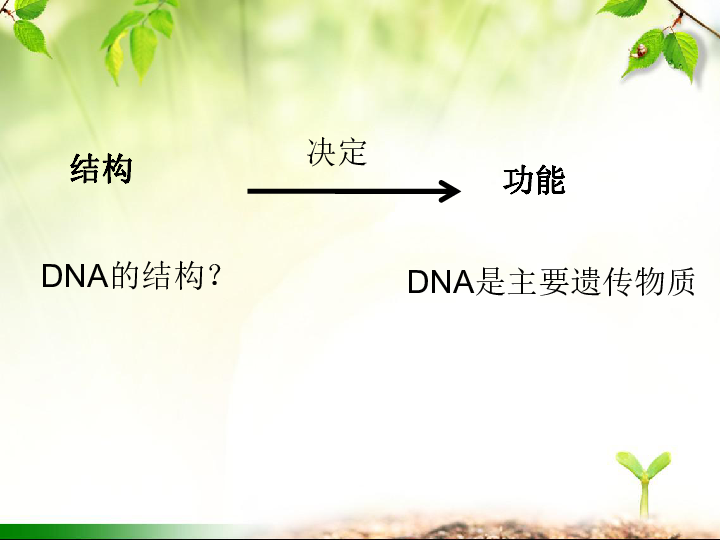 新人教版高中必修2生物3-2DNA分子的结构(共25张PPT)