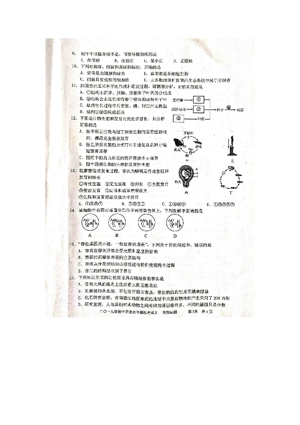 2019枣庄市初中学业水平模拟考试2部编版生物试题（图片版无答案）