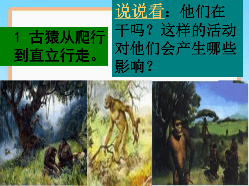 《探寻人类祖先的奥秘》课件3