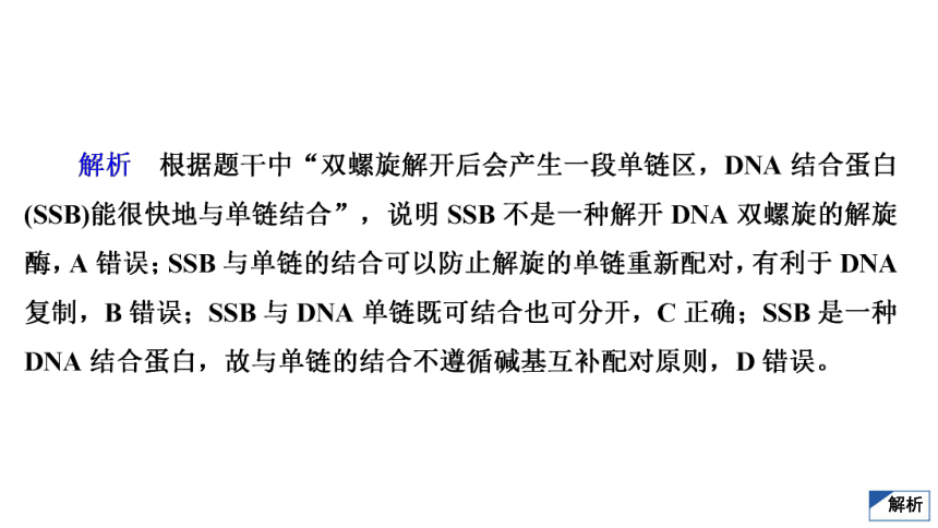 高考生物复习用卷：单元测试(五)　遗传的物质基础（54张PPT）