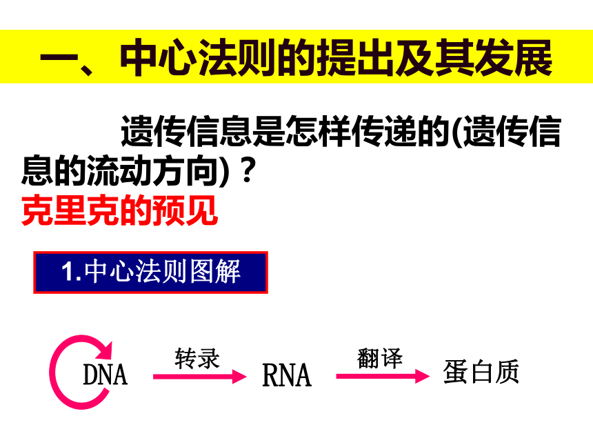高中生物人教版必修二第四章第2节 基因对性状的控制  课件（26张PPT）