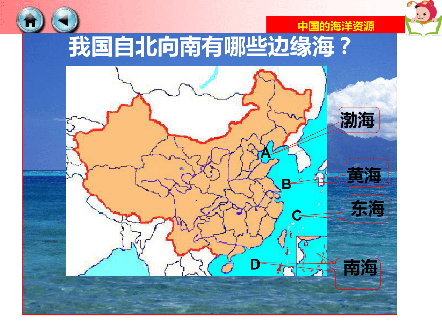 中国四大海地图图片