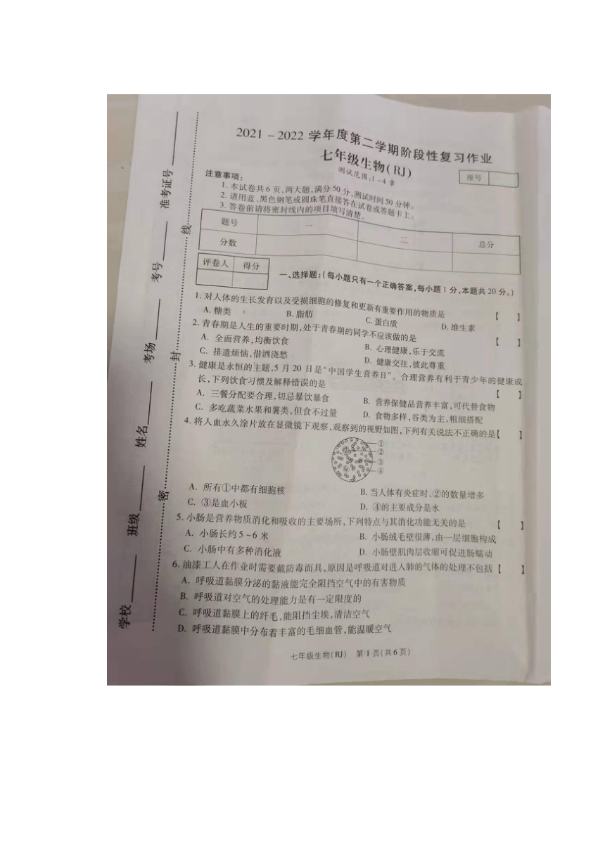 省商丘市第二中學20212022學年七年級下學期生物月考試卷圖片版含答案