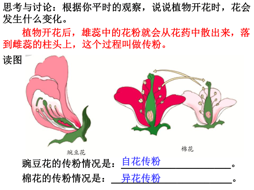 植物生殖方式的多样性（全）