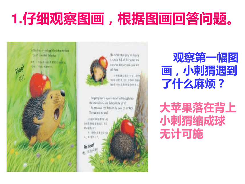课件预览