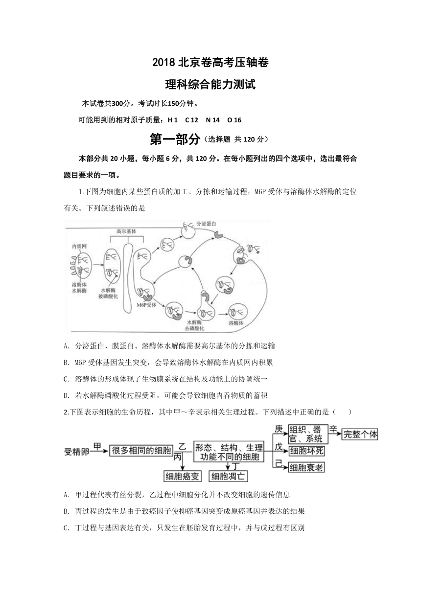 2018 北京市高考压轴卷 理综 Word版含解析