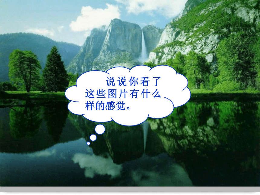 语文二年级上人教新课标7.3浅水洼里的小鱼2