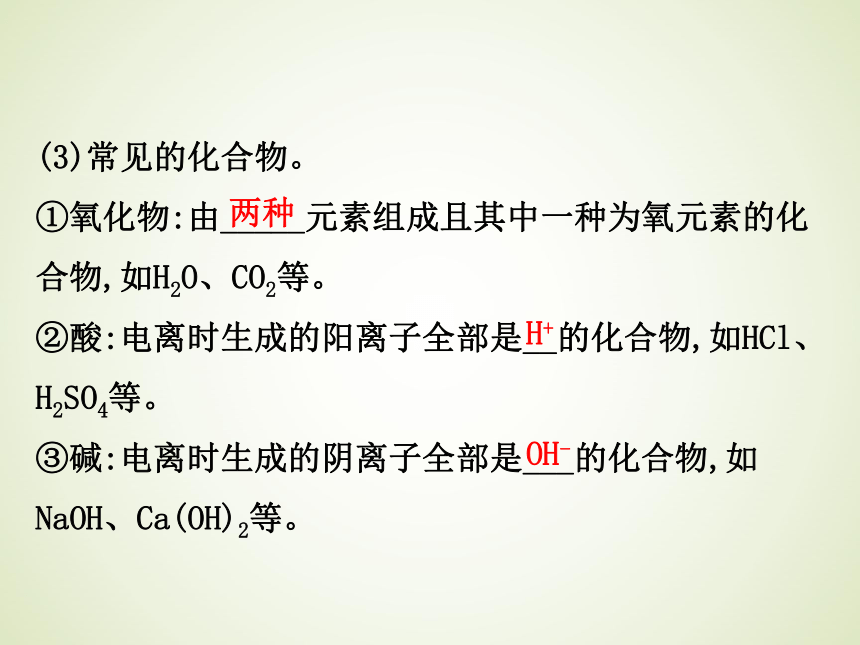 浙教版九年级科学中考复习课件：物质的分类和变化