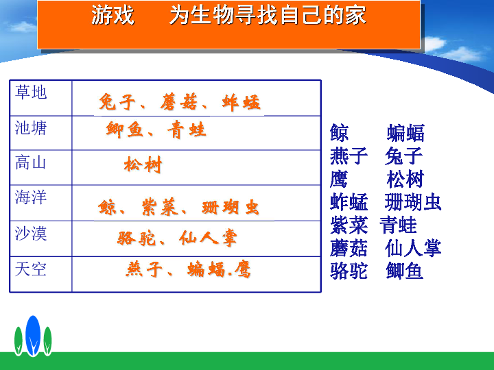 《生物生存的环境》课件(共20张PPT)