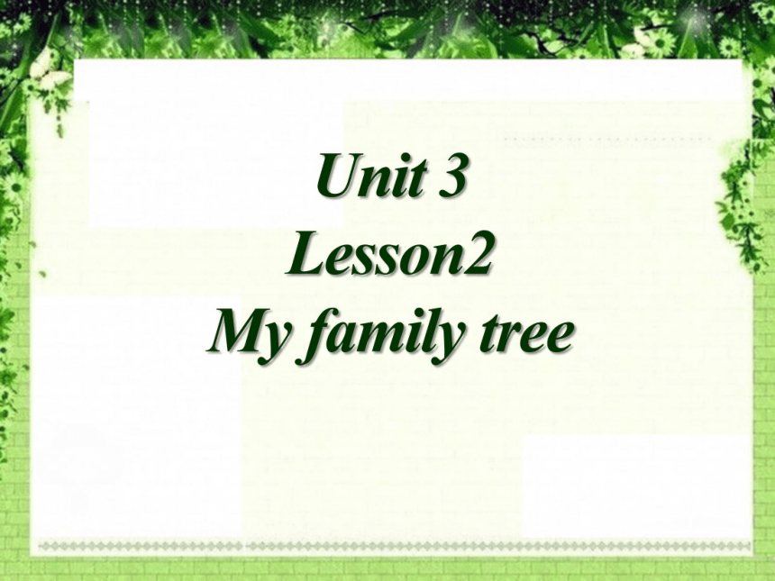 Lesson 2 My family tree 课件