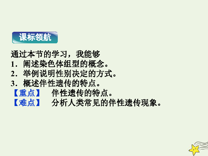 浙科版高中生物必修2 2.3 性染色体与伴性遗传课件浙科版必修2