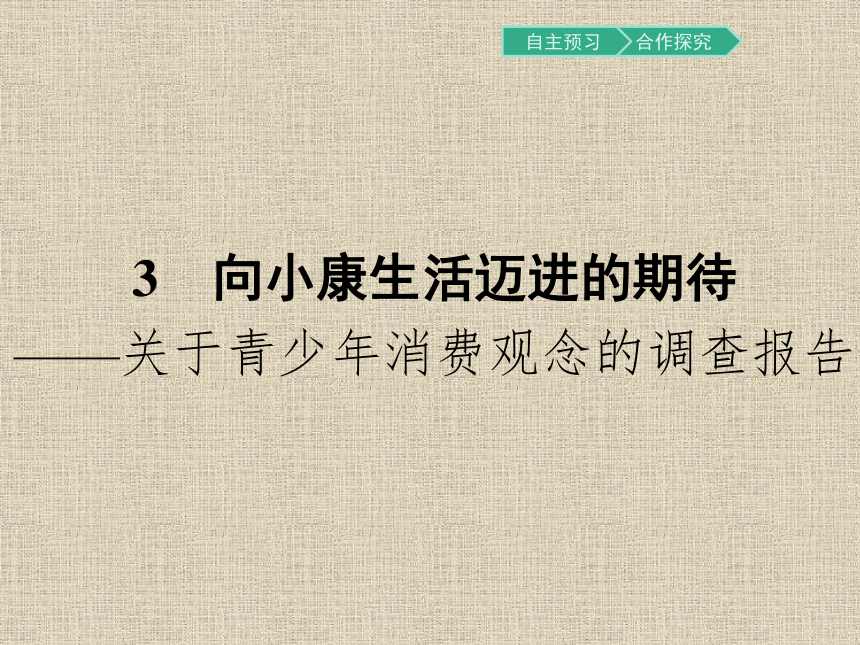 粤教版语文必修5同步教学课件：3 向小康生活迈进的期待（22张）