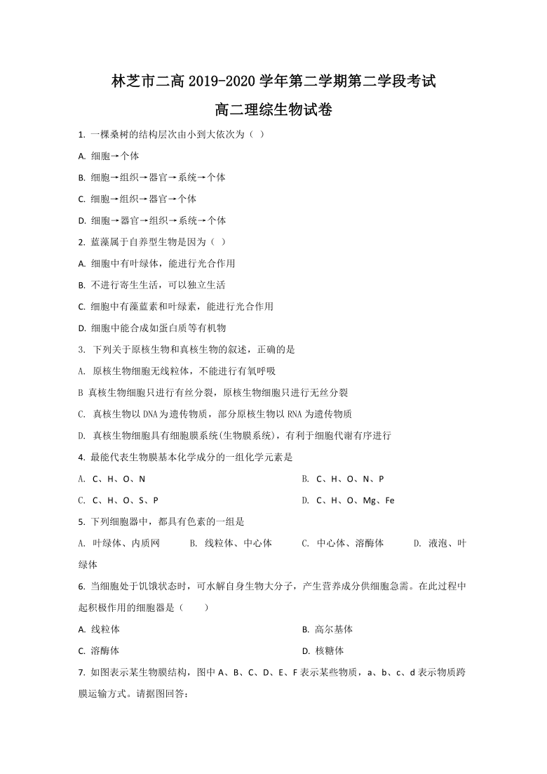 西藏林芝市二中2019-2020学年高二下学期期末考试生物试卷  解析版