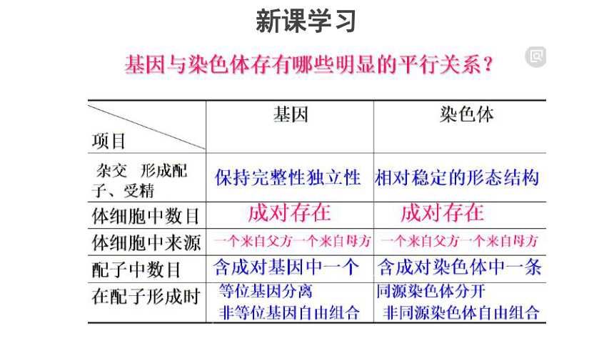 非等位基因隨著非同源染色體的自由組合而自由組合新課學習用遺