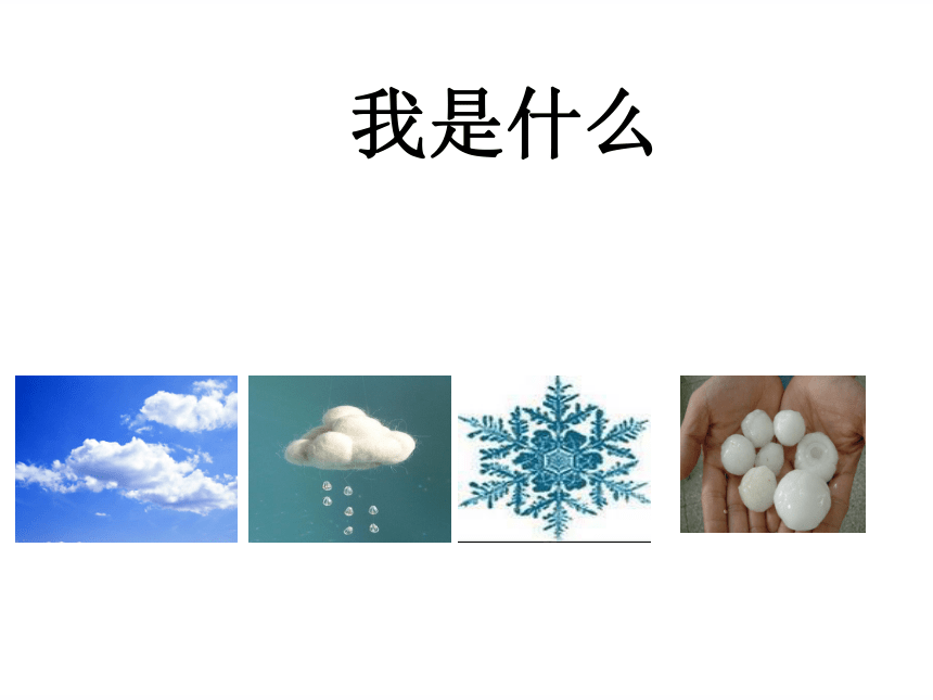 我是什么  课件(共17张PPT)