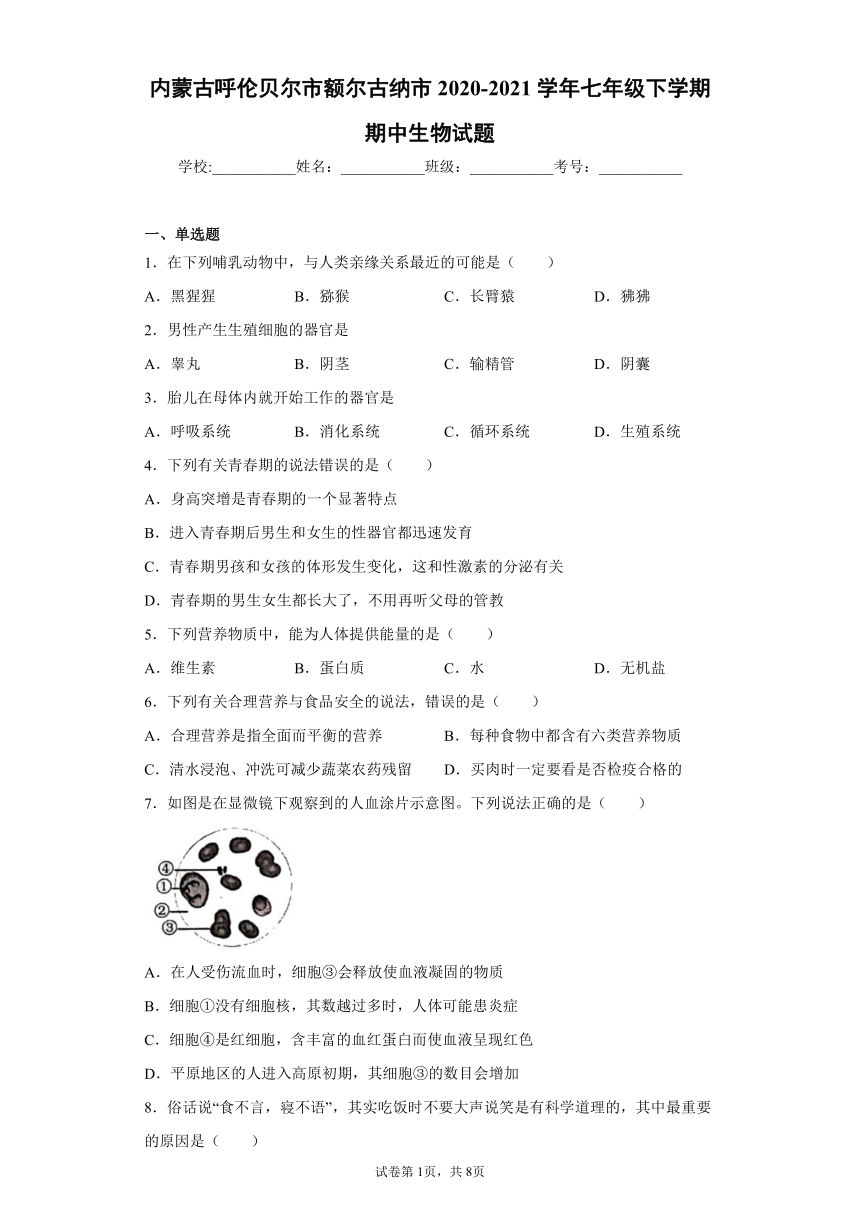 内蒙古呼伦贝尔市额尔古纳市2020-2021学年七年级下学期期中生物试题(word版含答案)