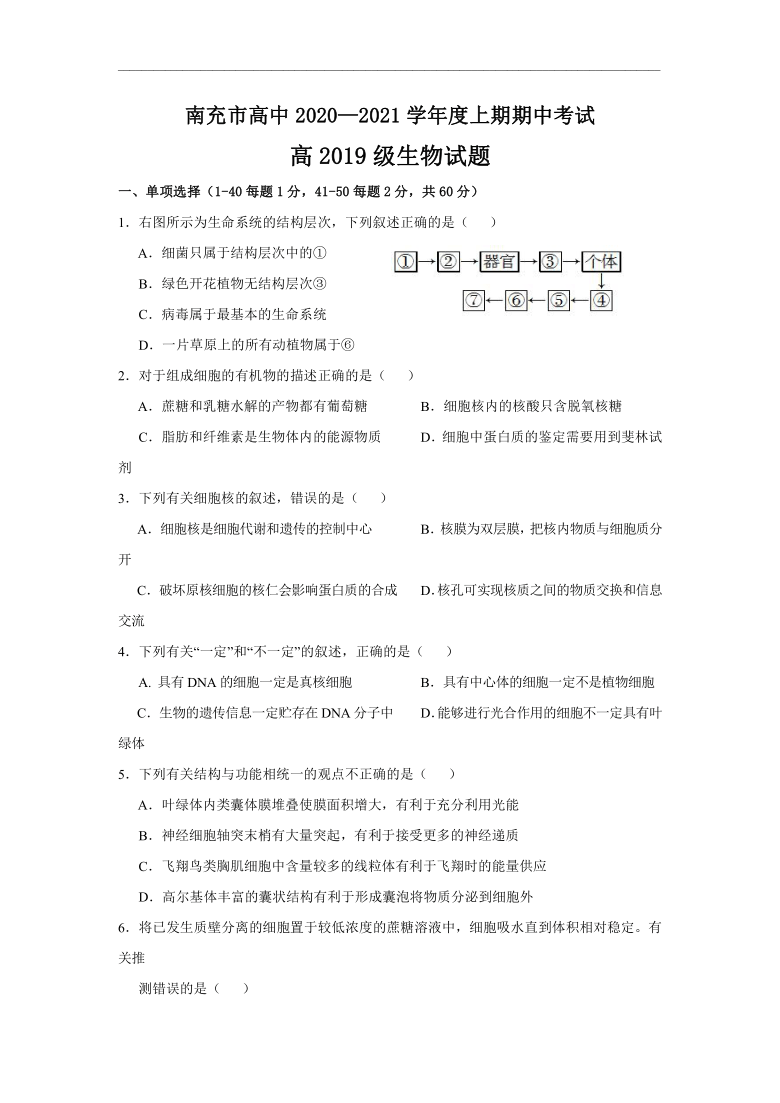 四川省南充市高中2020-2021学年高二上学期期中考试生物试题 含答案