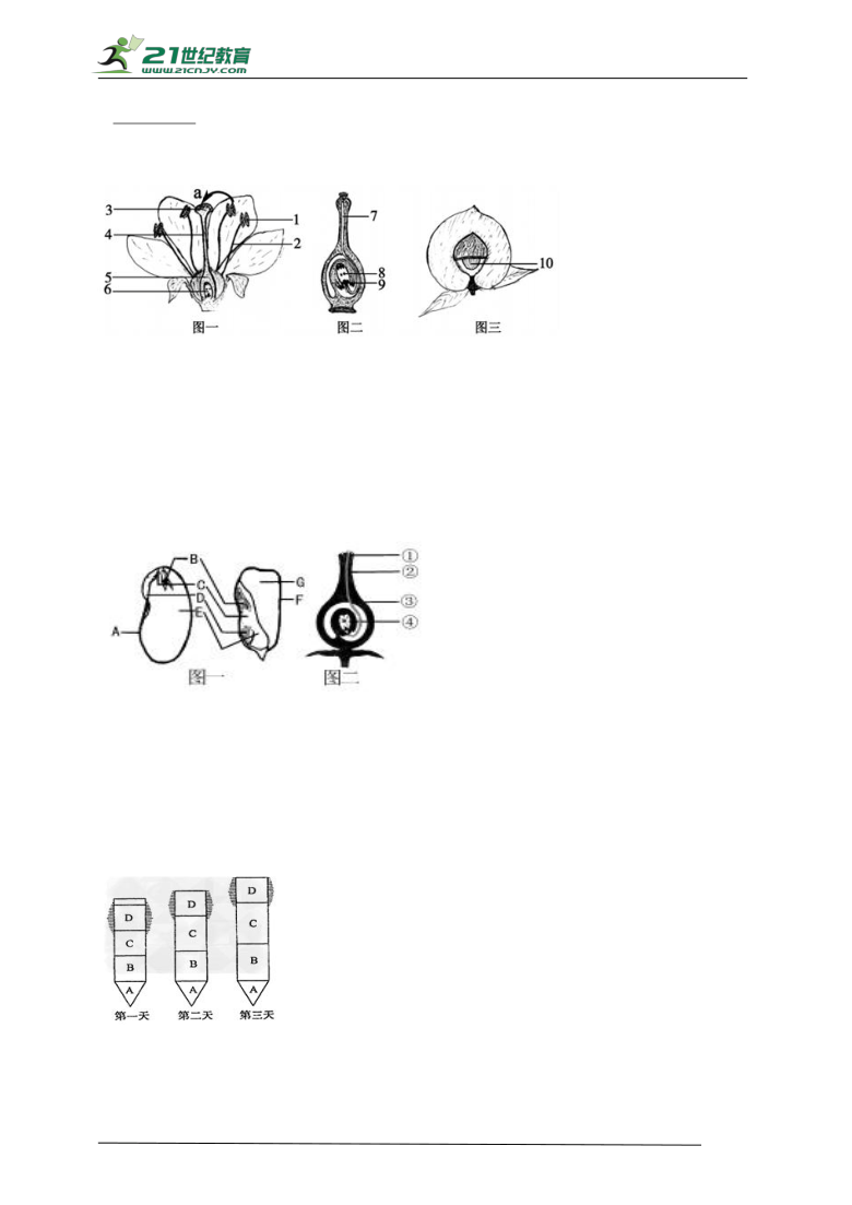 【备战期考】人教版七年级上册生物期末测试卷4（含答案）