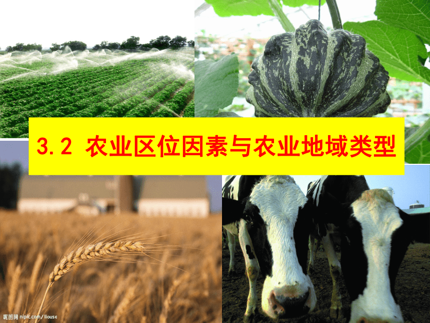 3.2 农业区位因素与农业地域类型