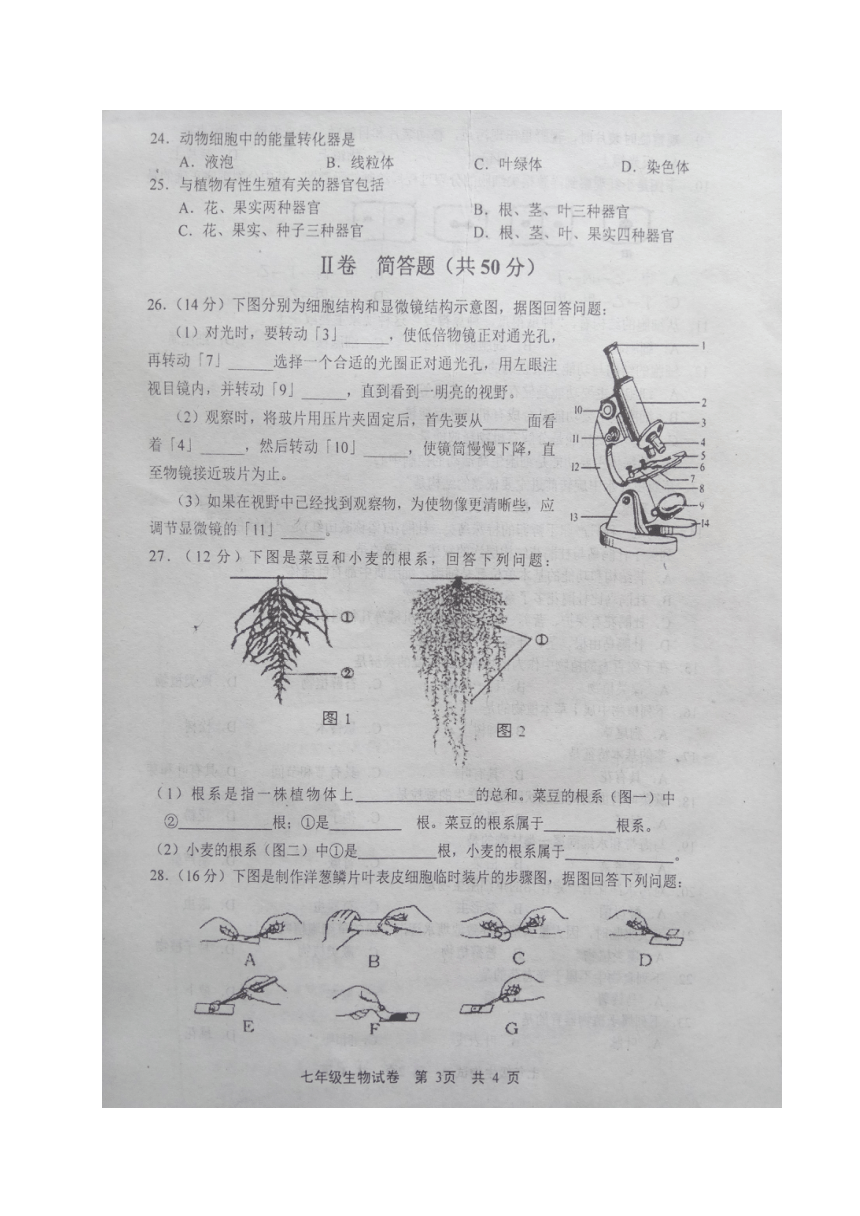 河北省唐山市路北区2017-2018学年七年级上学期期中考试生物试题（图片版）