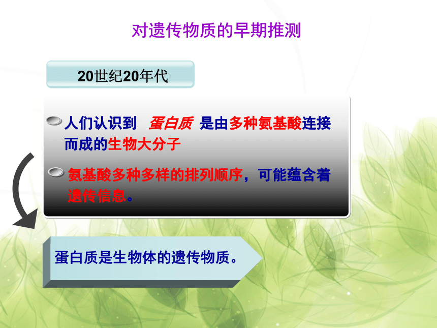 高中生物人教版必修2第三章第1节 DNA是主要的遗传物质   课件(29张ppt)