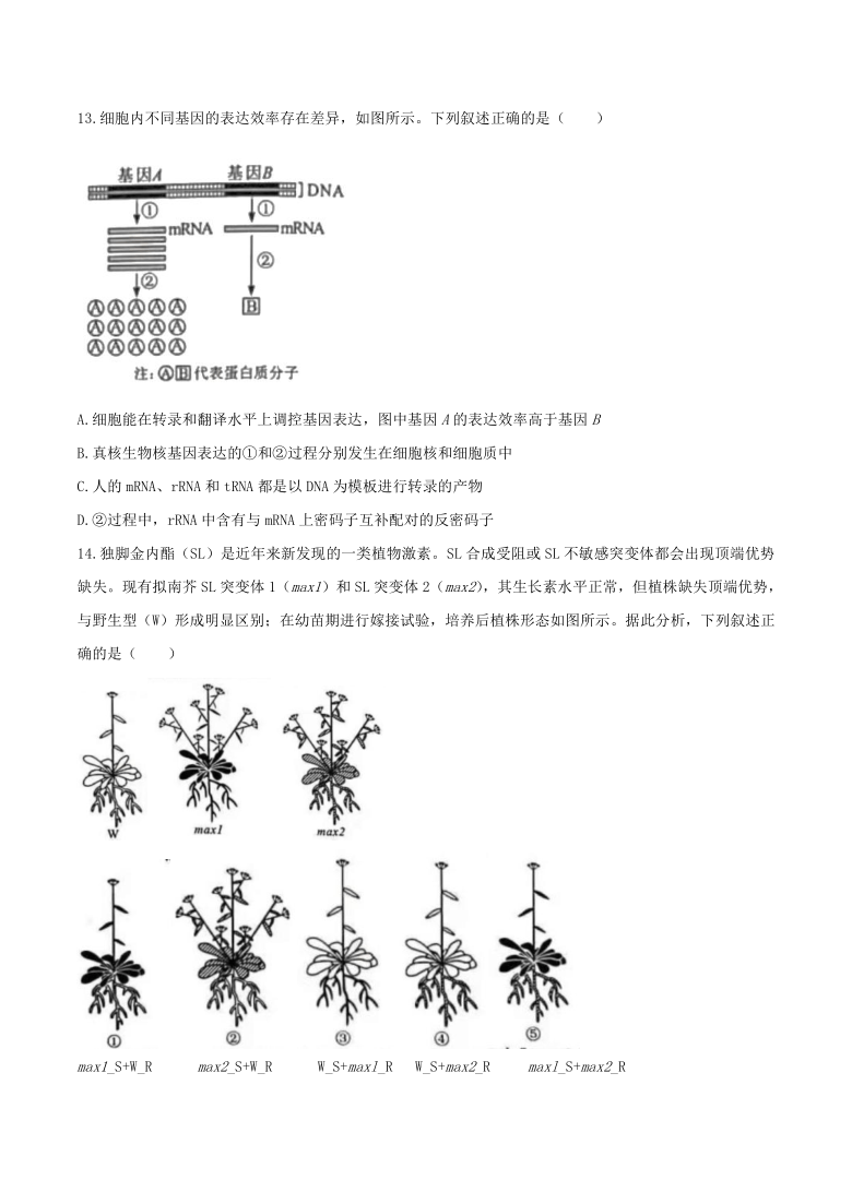 2021年新高考湖南生物高考真题试卷（Word版，无答案）