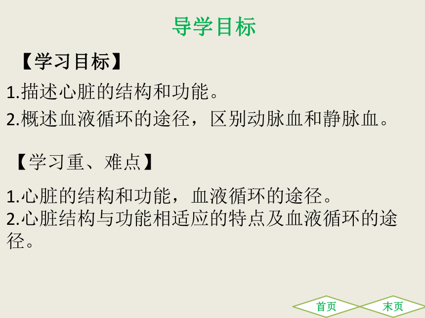 第四章 第三节输送血液的泵——心脏 课件（共30张PPT）