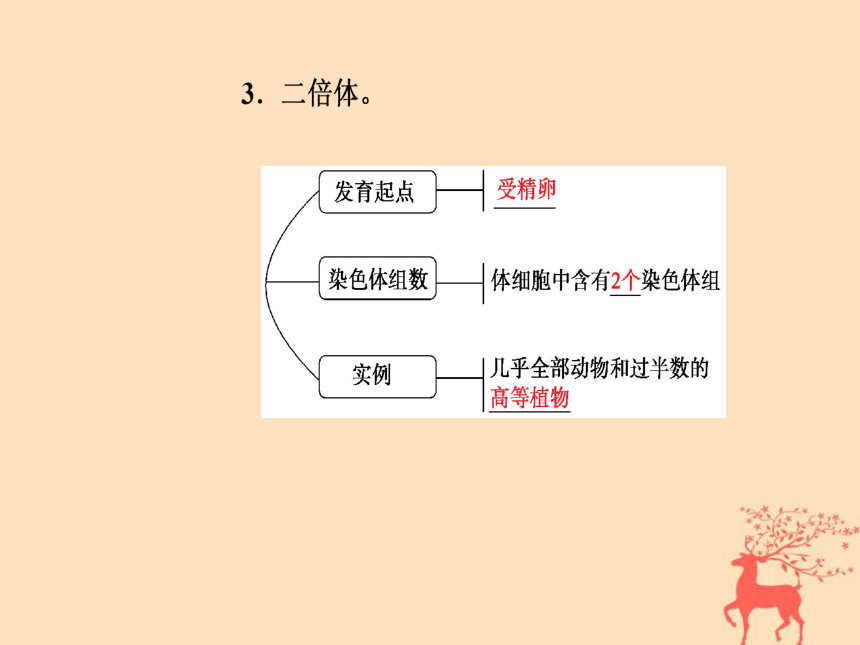 2018年秋高中生物新人教版必修2第五章基因突变及其他变异第2节染色体变异课件(89张PPT)