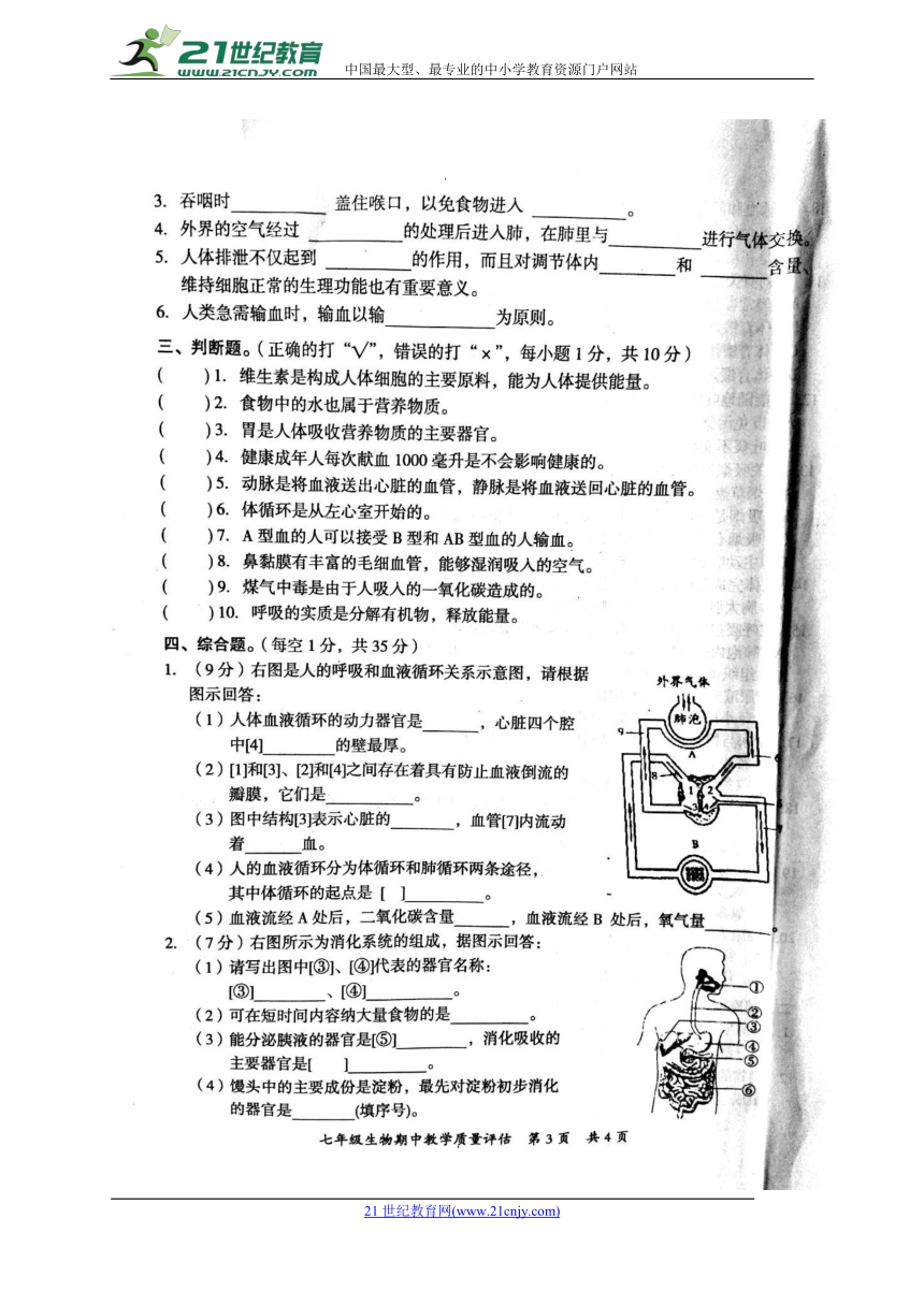 广西防城港市2017-2018学年七年级下学期期中考试生物试题（图片版，含答案）