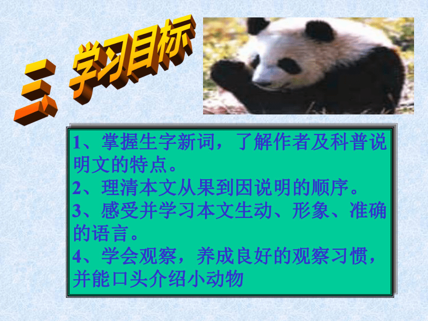 《国宝__大熊猫》说课课件5