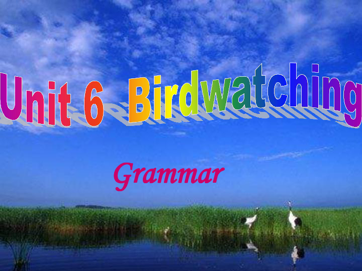 Unit 6 Bird watching Grammar课件（28张PPT)