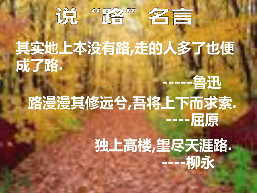 鲁教版《未选择的路》课件