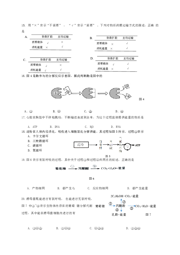 上海市嘉定区封浜高中2019-2020学年高一上学期期末考试生物试题