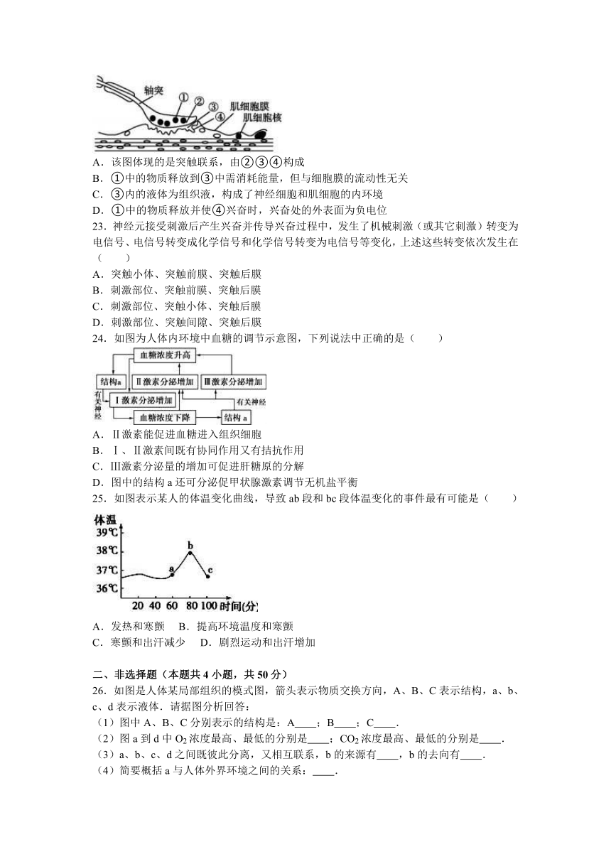 辽宁省葫芦岛八中2016-2017学年高二（上）第二次月考生物试卷（实验班）（解析版）