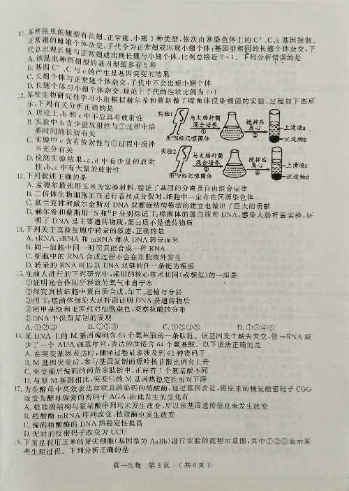 河南省驻马店市2018-2019学年高一下学期期末考试生物试题 PDF版