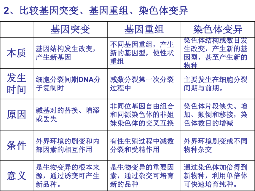 生物变异[下学期]