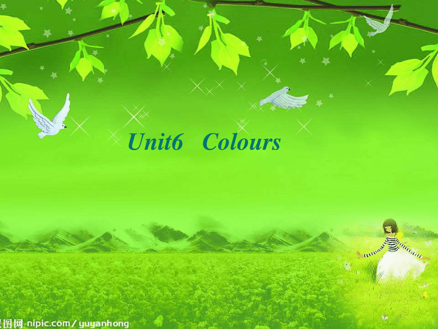 Unit 6 Colours 课件