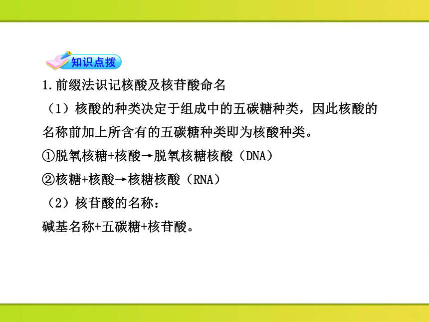 高中生物课时讲练通配套课件：2.2.3《核酸的结构和功能》（苏教版必修1）