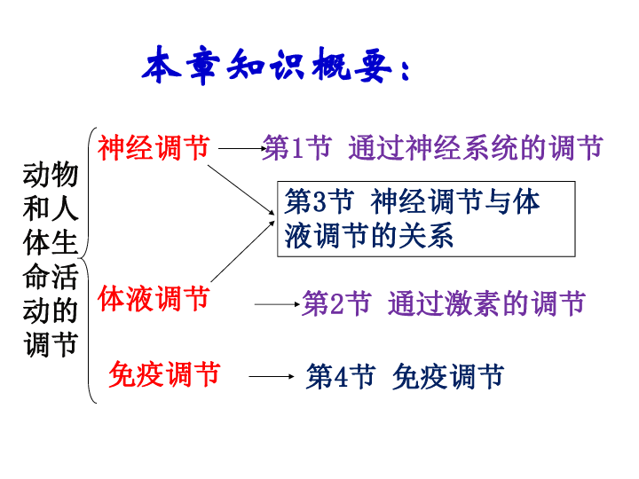 人教版 第二章第1节通过神经系统的调节 （共49张PPT）
