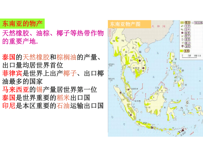 七年纪下册第七章了解地区复习课件