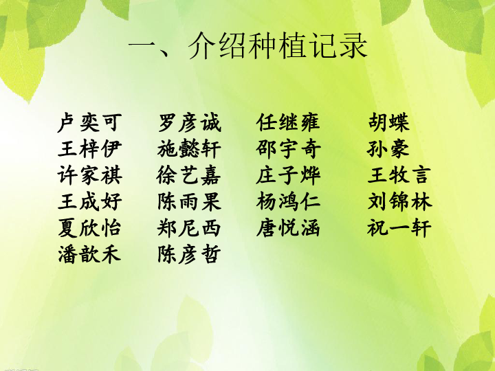 植物是活的吗课件(共21张PPT)