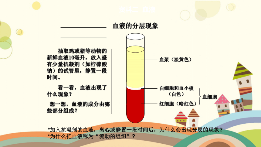 人教版生物七年級下冊41流動的組織血液課件共18張ppt