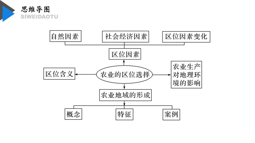 农业区位选择思维导图图片