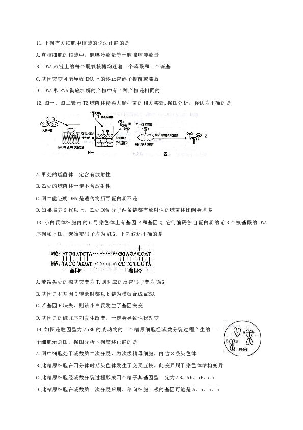 湖南省岳阳市2019届高三教学质量检测一（一模）生物试题