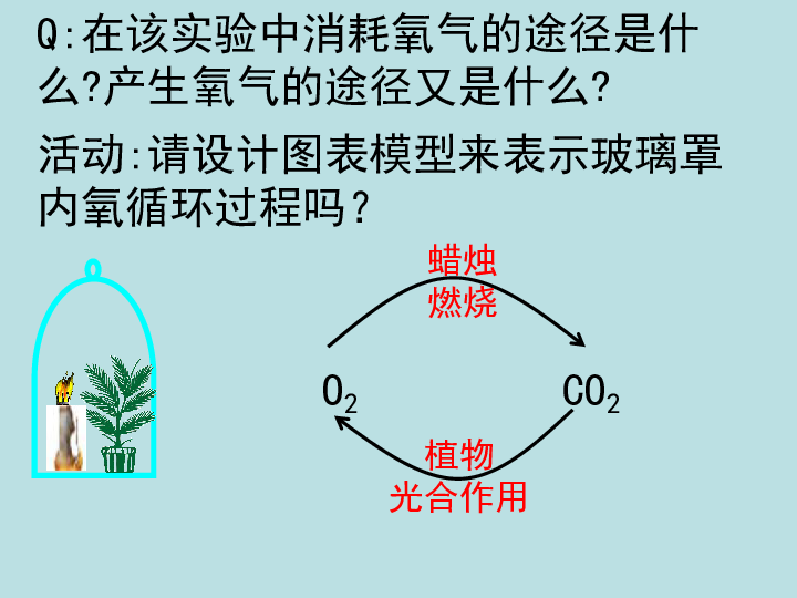 3.7 自然界中的氧循环和碳循环(课件 38张ppt)