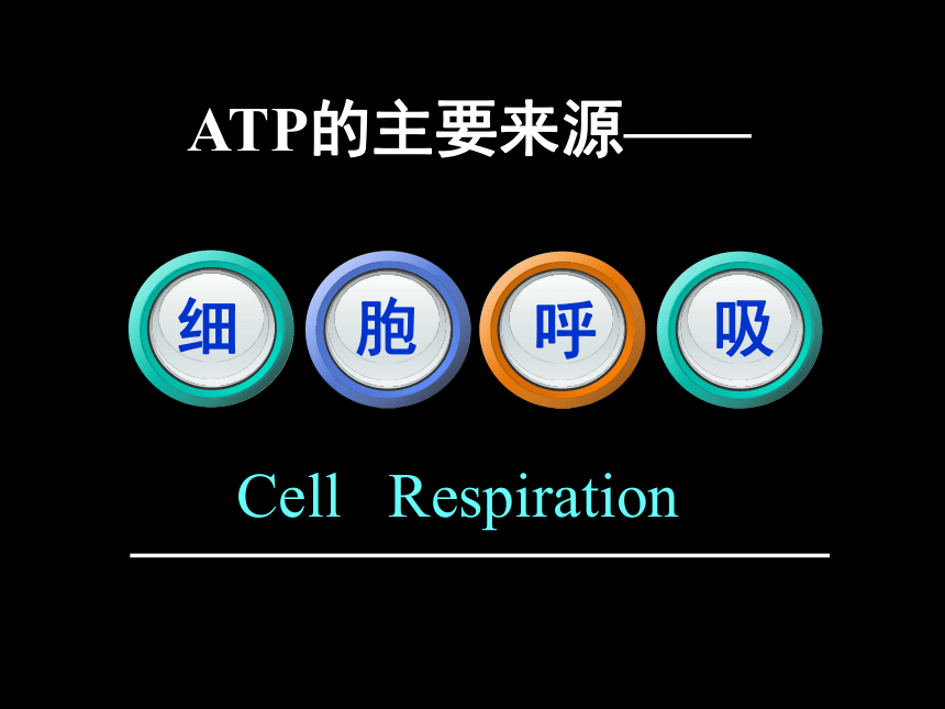 atp的主要来源细胞呼吸