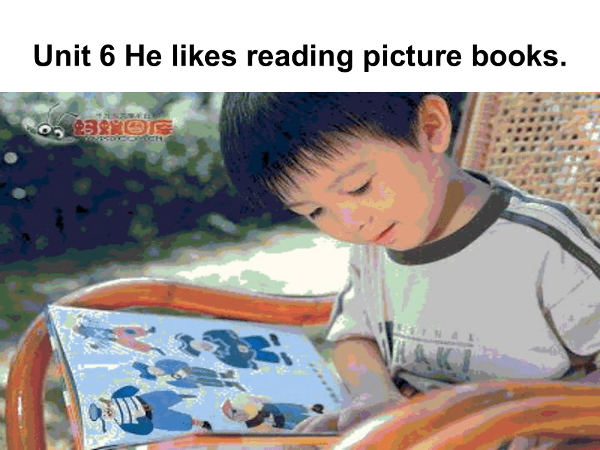 Unit 6 He likes reading picture books 课件